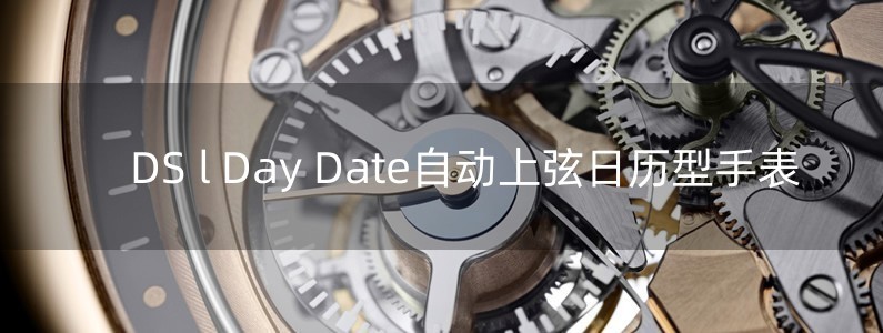 DS l Day Date自动上弦日历型手表