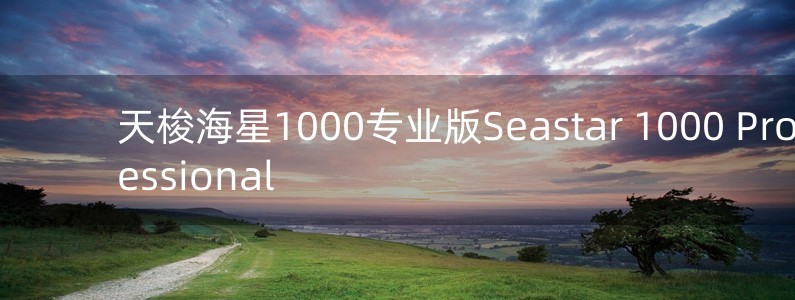 天梭海星1000专业版Seastar 1000 Professional